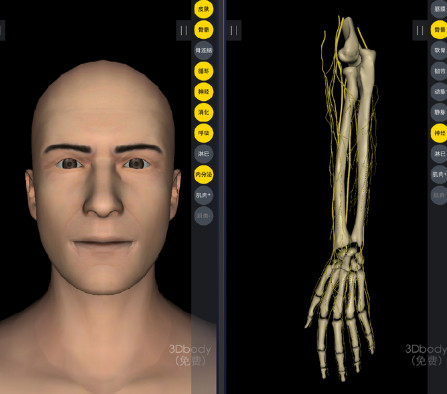 3dbody԰İ