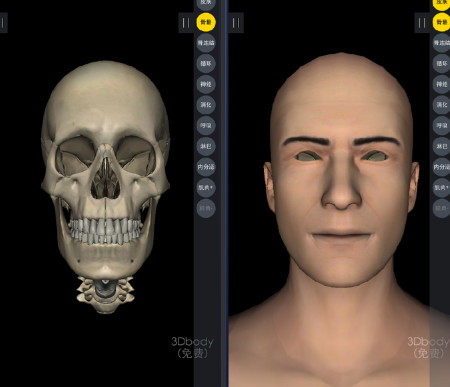 3dbody԰İ