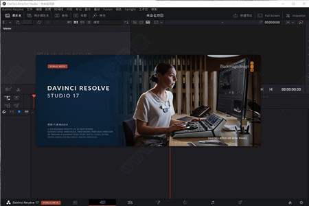 davinciresolve17ƽ