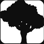 speedtreeƽ v8.3