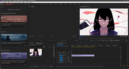 Adobe Premiere Proƽ