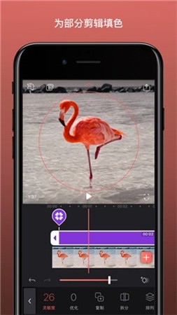 VideoleapѰapp