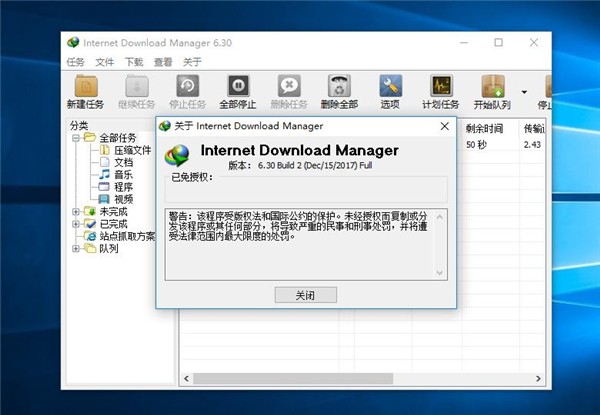 Internet Download Managerƽ