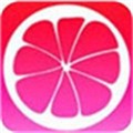 蜜柚app下载安装