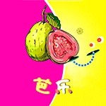 ����app���ؚ�api�������