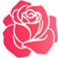 红玫瑰直播免费版视频