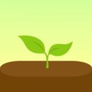 Forest���רҵ��
