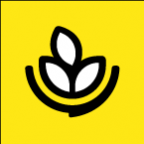 ����決app��׿��