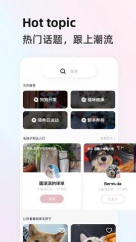 阿宝说app手机版