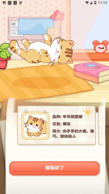 桌面喵
