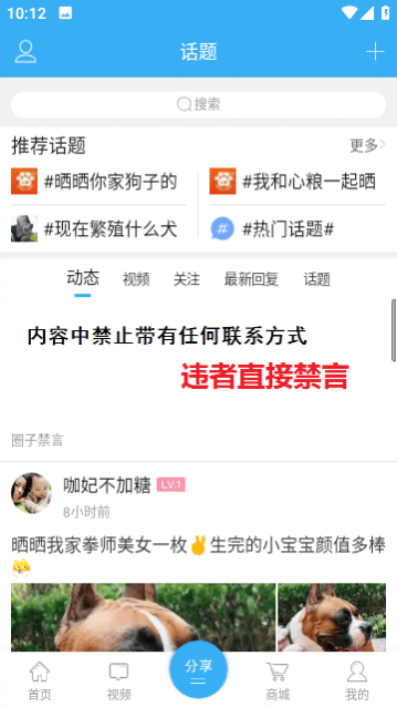 猛犬俱乐部
