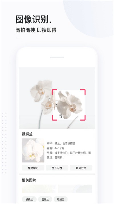 简单搜索app下载