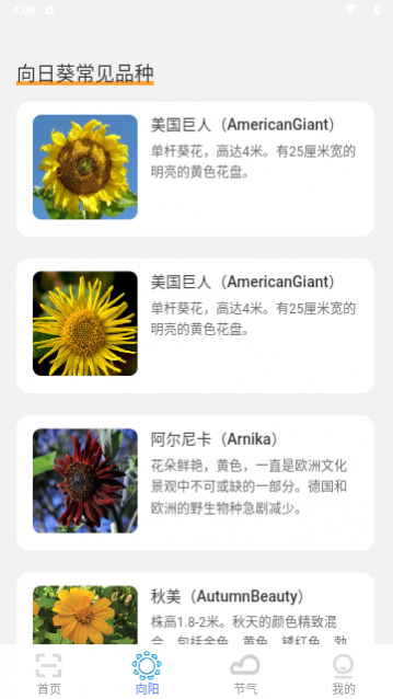 超速扫描大师最新版