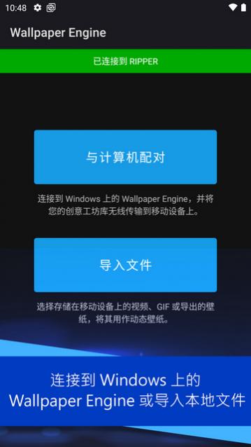 wallpaper engine��ֽ���洿����