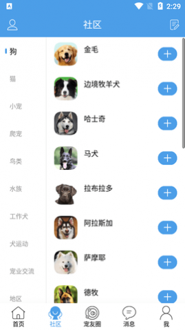 宠物之家