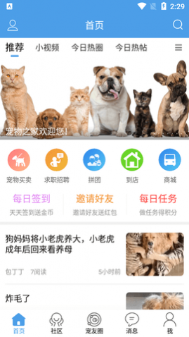 宠物之家