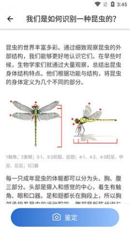 昆虫识别码