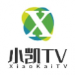 小凯TV(附接口链接)