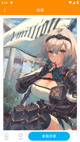 丸子壁纸控