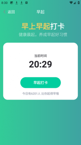 雪松走路