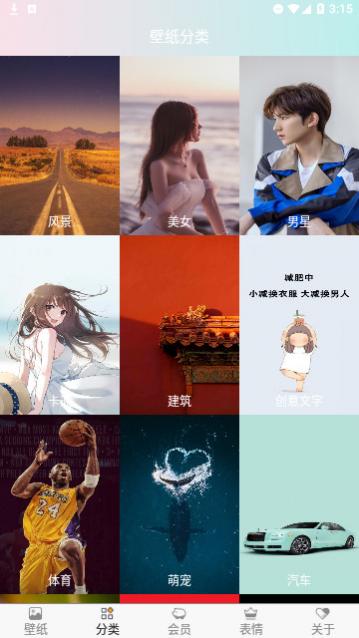 壁纸精选大全官方版
