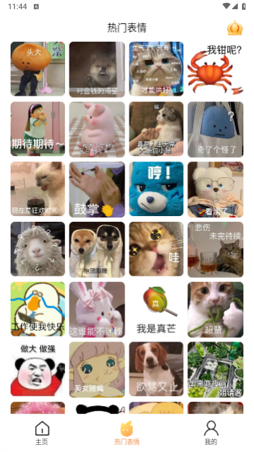ͼʦѰ