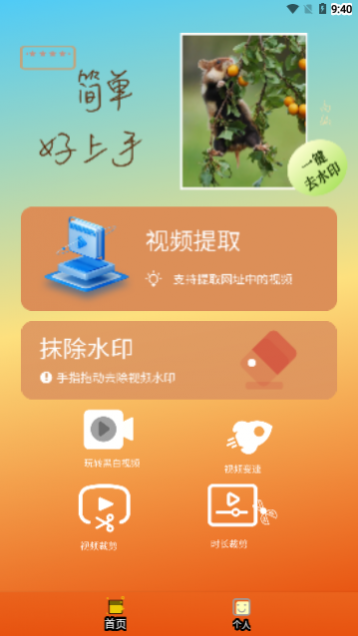 祺盛视频去水印免费