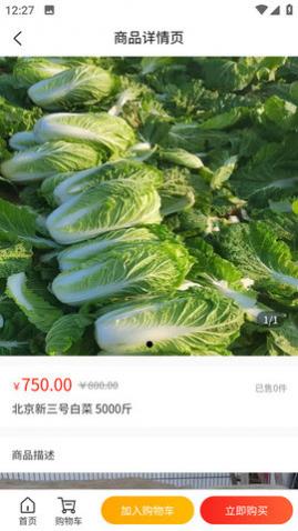 ڱѡapp°