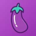 茄子视频qz2app懂你更多
