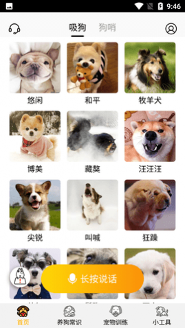 狗语交流翻译器免费版