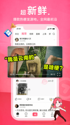 皮皮虾