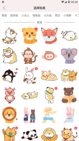 ѾѾapp