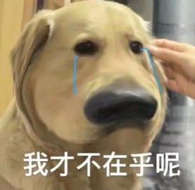 Թֱapp