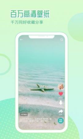 ΪıֽAPP°