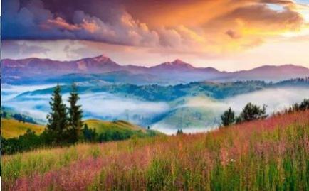 Ȼֽ(Nature Wallpapers)app