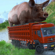 ģѰ