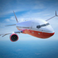 ģ(Flight Sim)׿°