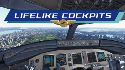 ģ(Flight Sim)׿°