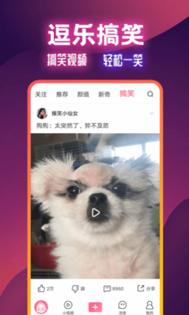 火苗视频赚钱版