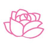 莲花直播最新免费版