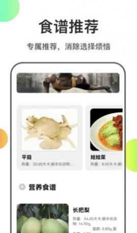 瘦身计划菜谱app手机版