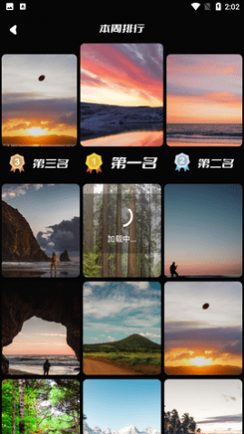 小熊壁纸安卓版