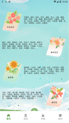ʶ(ʶ)app
