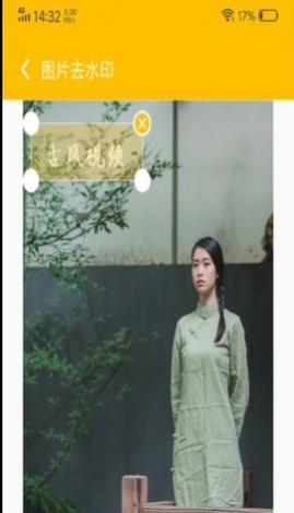 中企去水印专家永久免费版