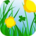 �����APP�����