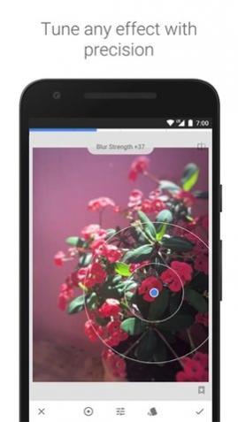 Snapseed(С��Ҷ��ͼ)2025���°�