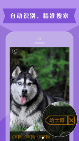 ����������app��׿��