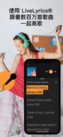 SoundHound(ֲ)app