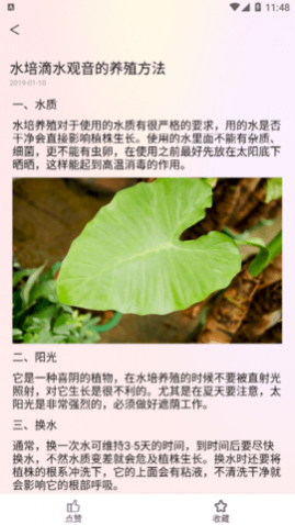 行色识花君安卓最新版