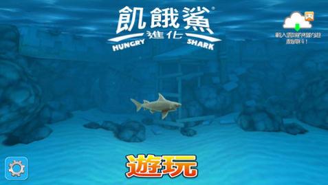 ƽ޽ʯ